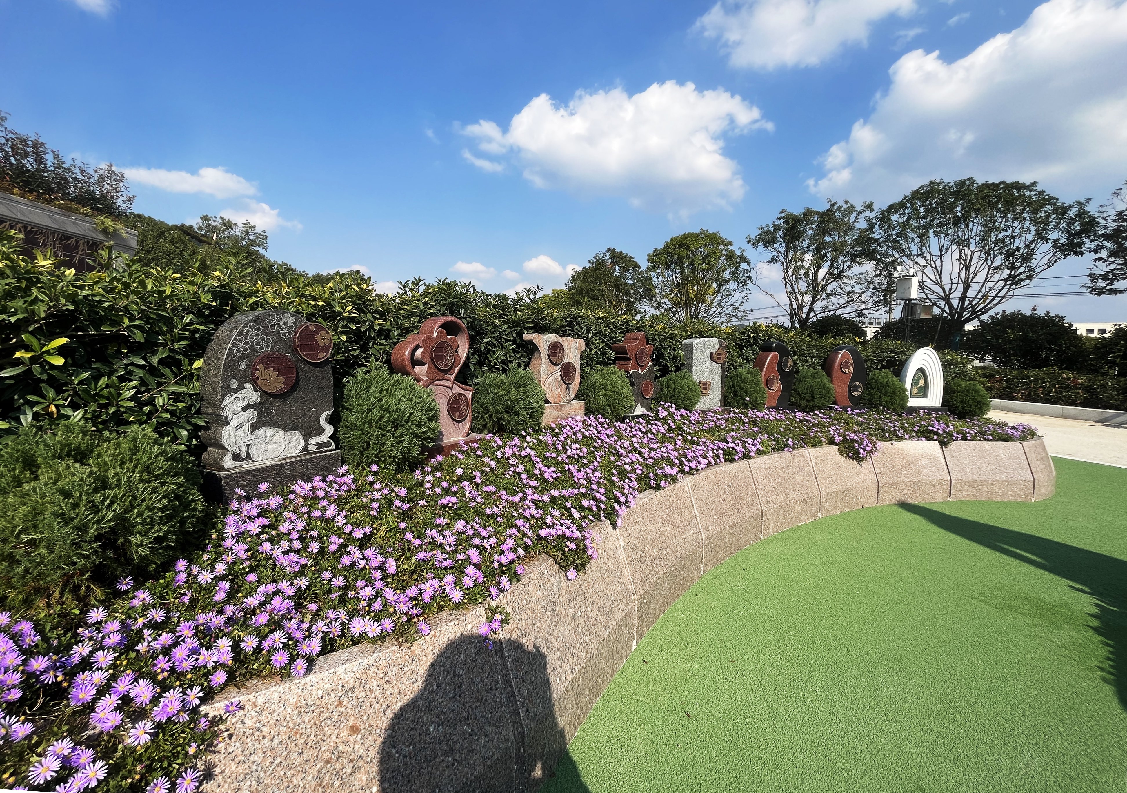 太阳城官网(中国)集团有限公司