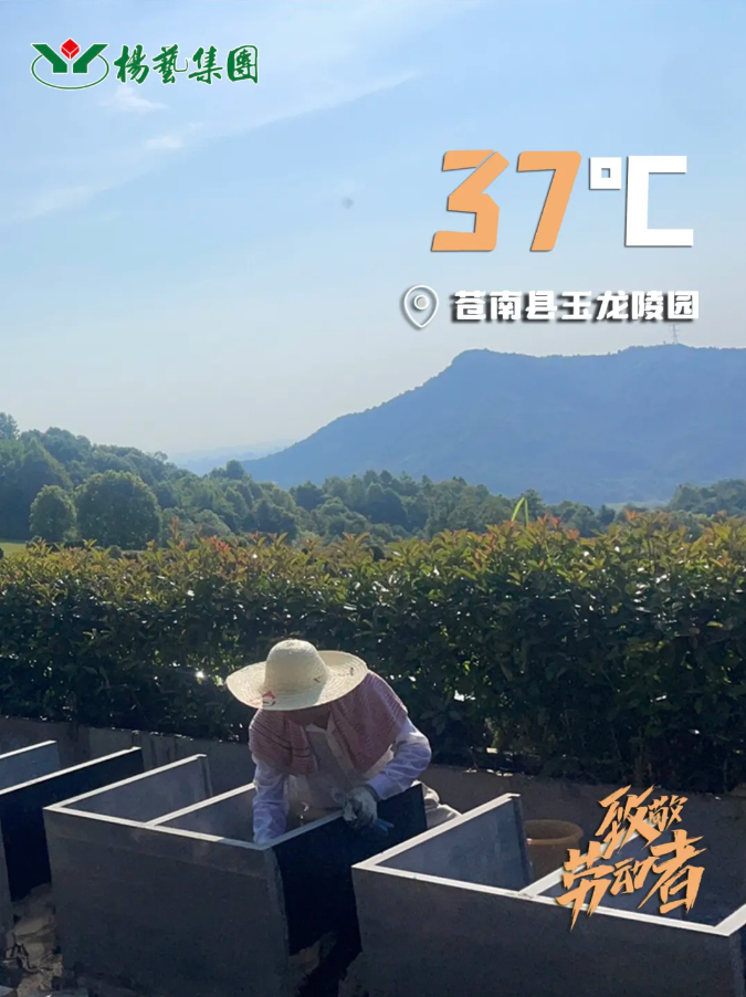 太阳城官网(中国)集团有限公司