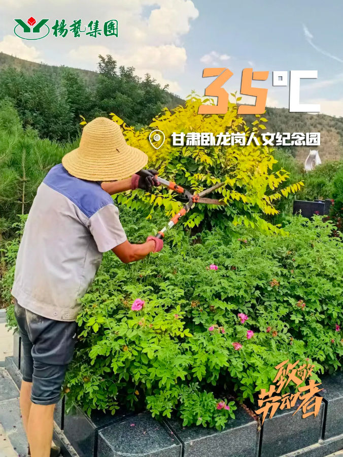 太阳城官网(中国)集团有限公司