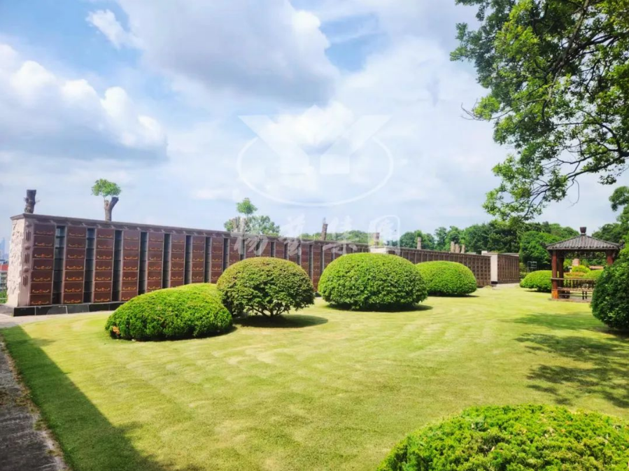 太阳城官网(中国)集团有限公司