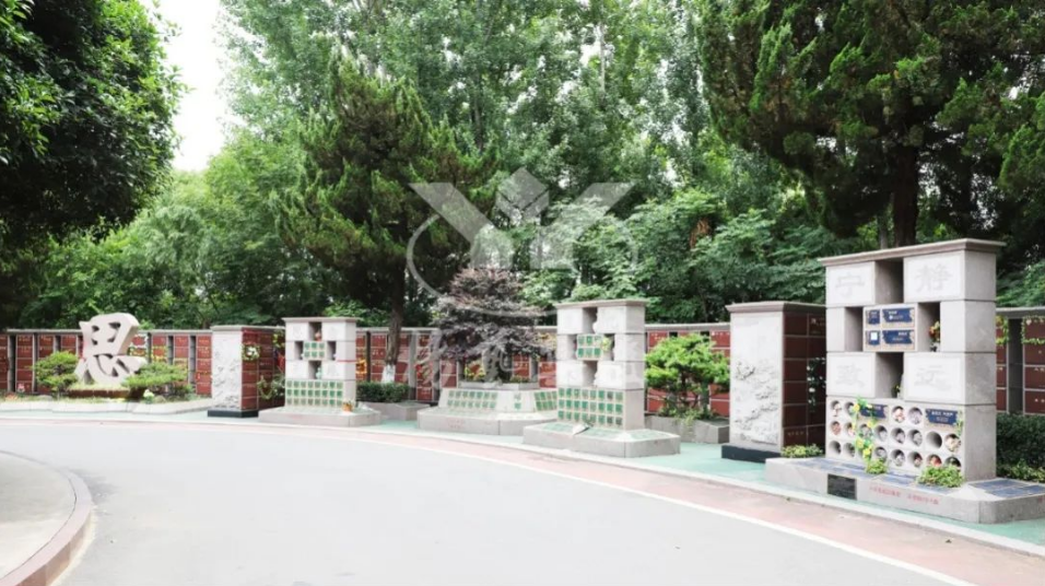 太阳城官网(中国)集团有限公司