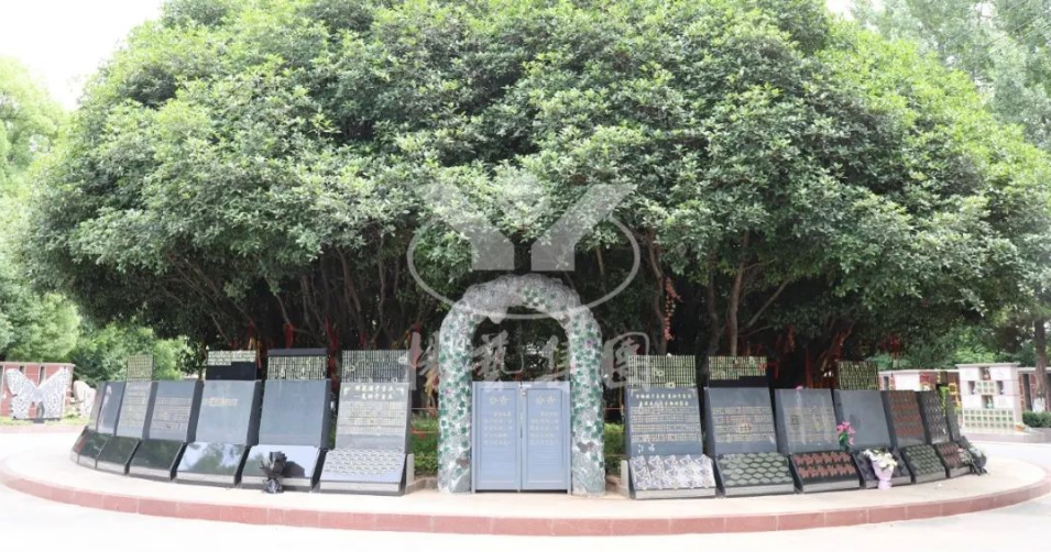 太阳城官网(中国)集团有限公司