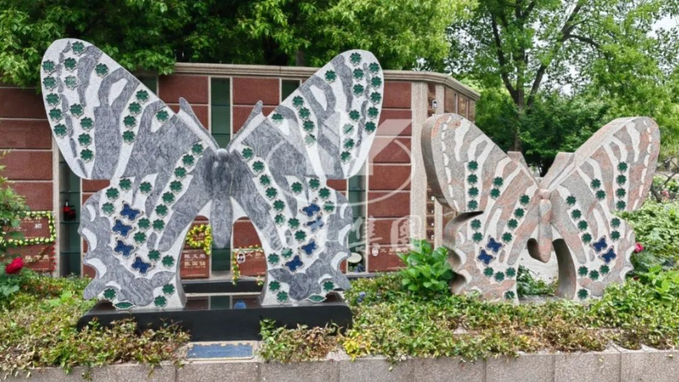 太阳城官网(中国)集团有限公司