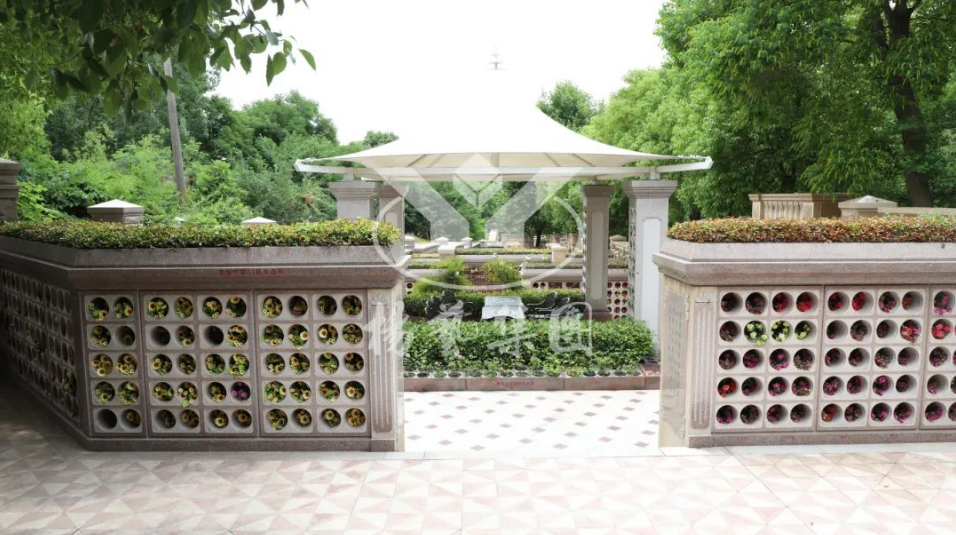 太阳城官网(中国)集团有限公司