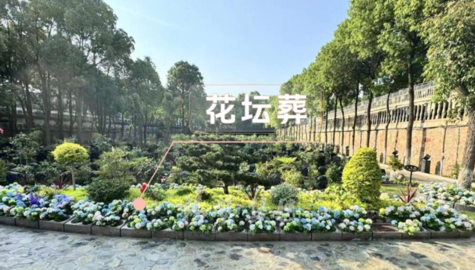 太阳城官网(中国)集团有限公司