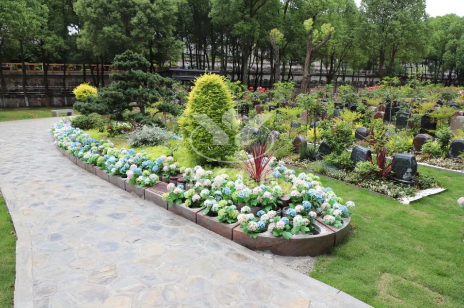 太阳城官网(中国)集团有限公司