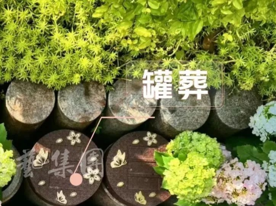 太阳城官网(中国)集团有限公司