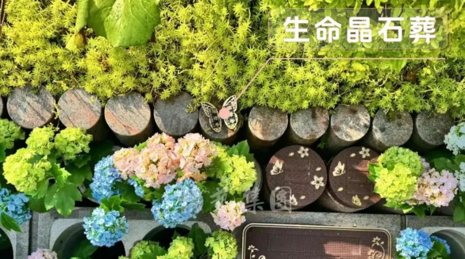 太阳城官网(中国)集团有限公司