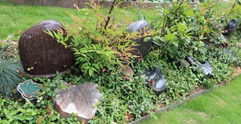 太阳城官网(中国)集团有限公司