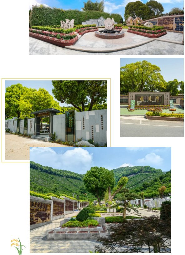 太阳城官网(中国)集团有限公司