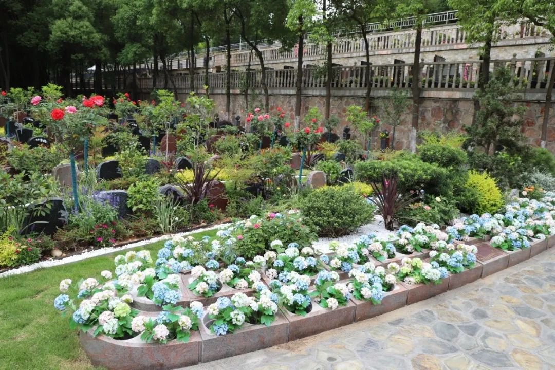 太阳城官网(中国)集团有限公司