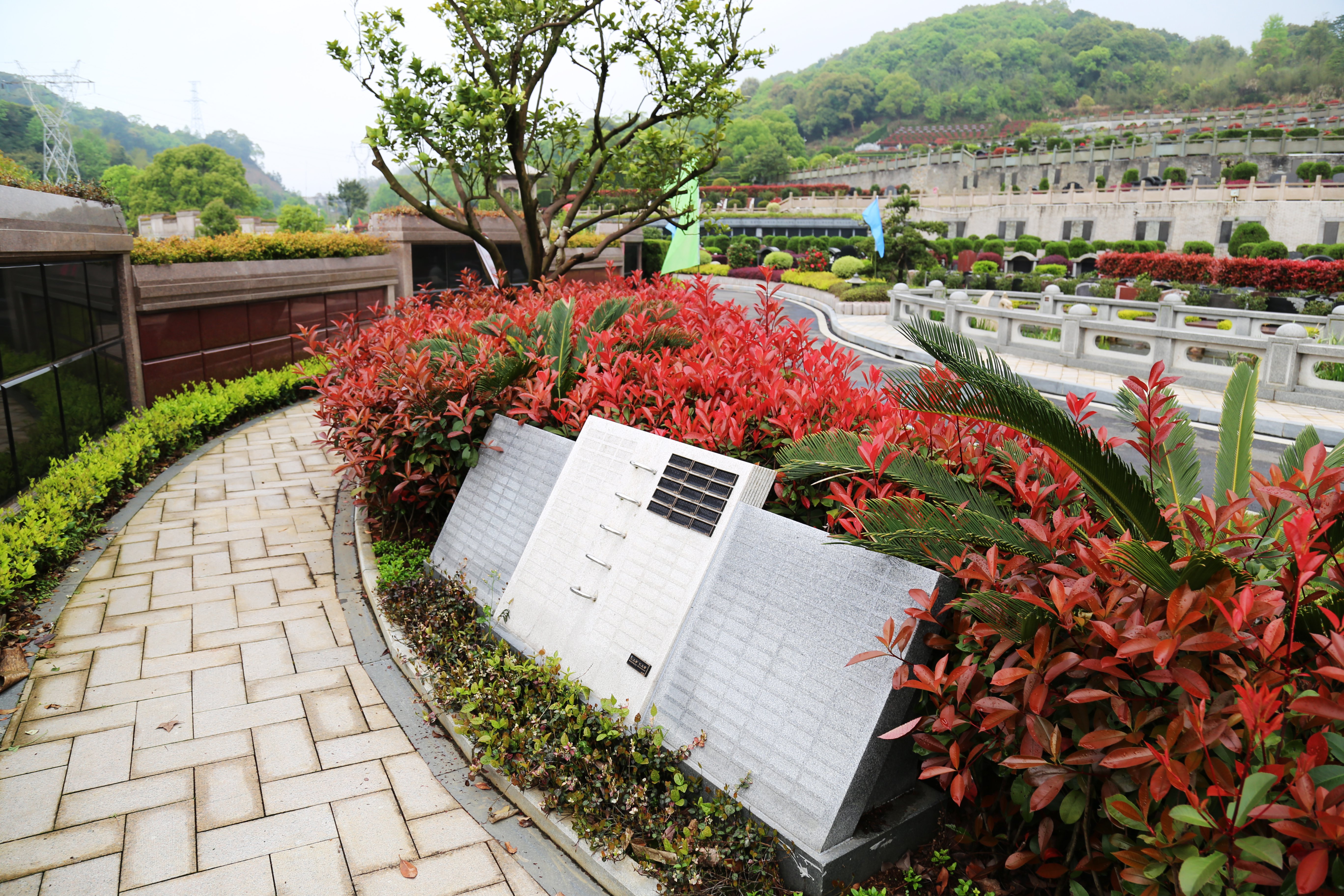 太阳城官网(中国)集团有限公司