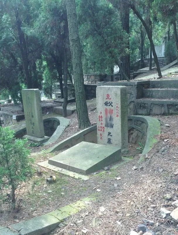 太阳城官网(中国)集团有限公司