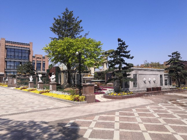 太阳城官网(中国)集团有限公司