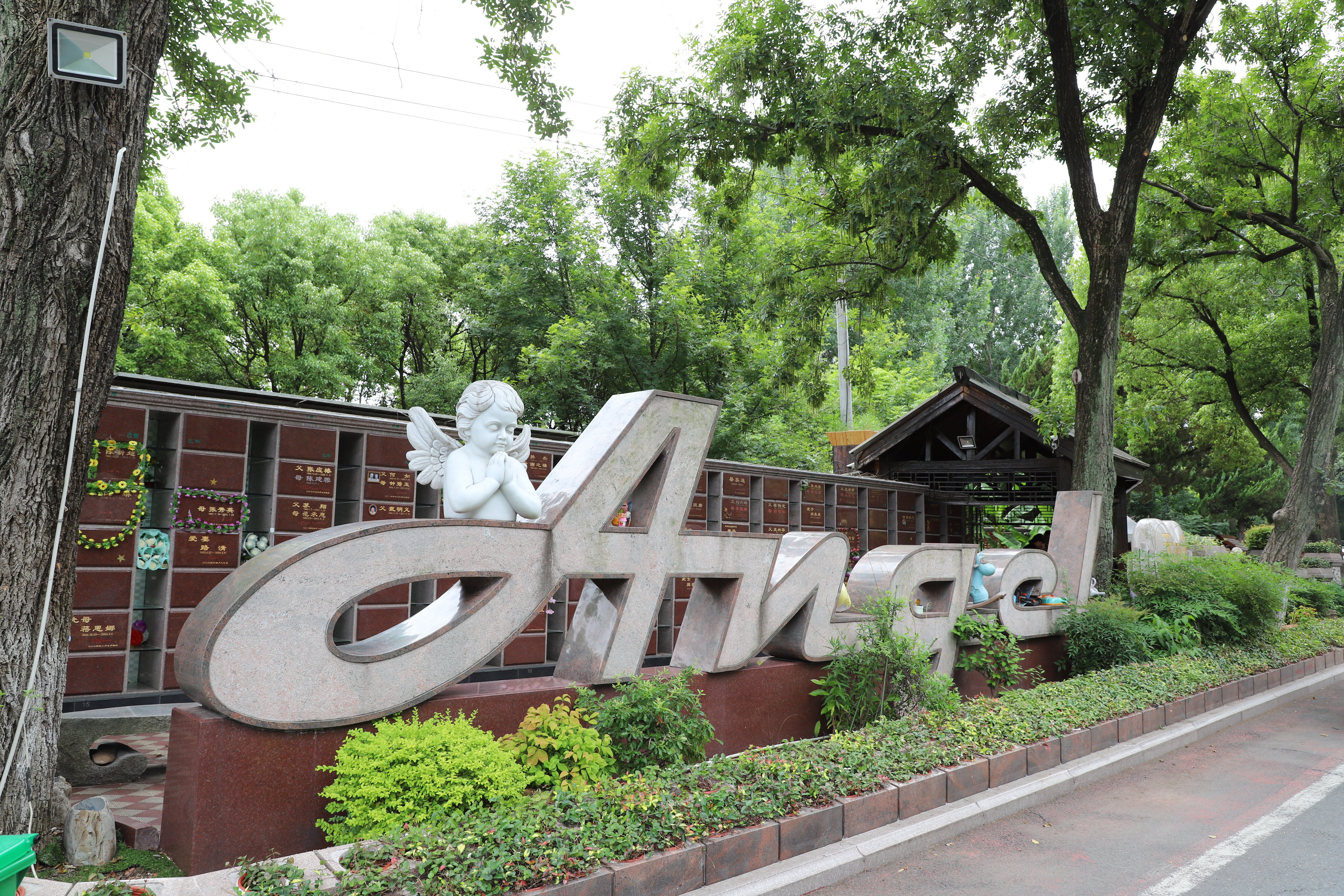 太阳城官网(中国)集团有限公司