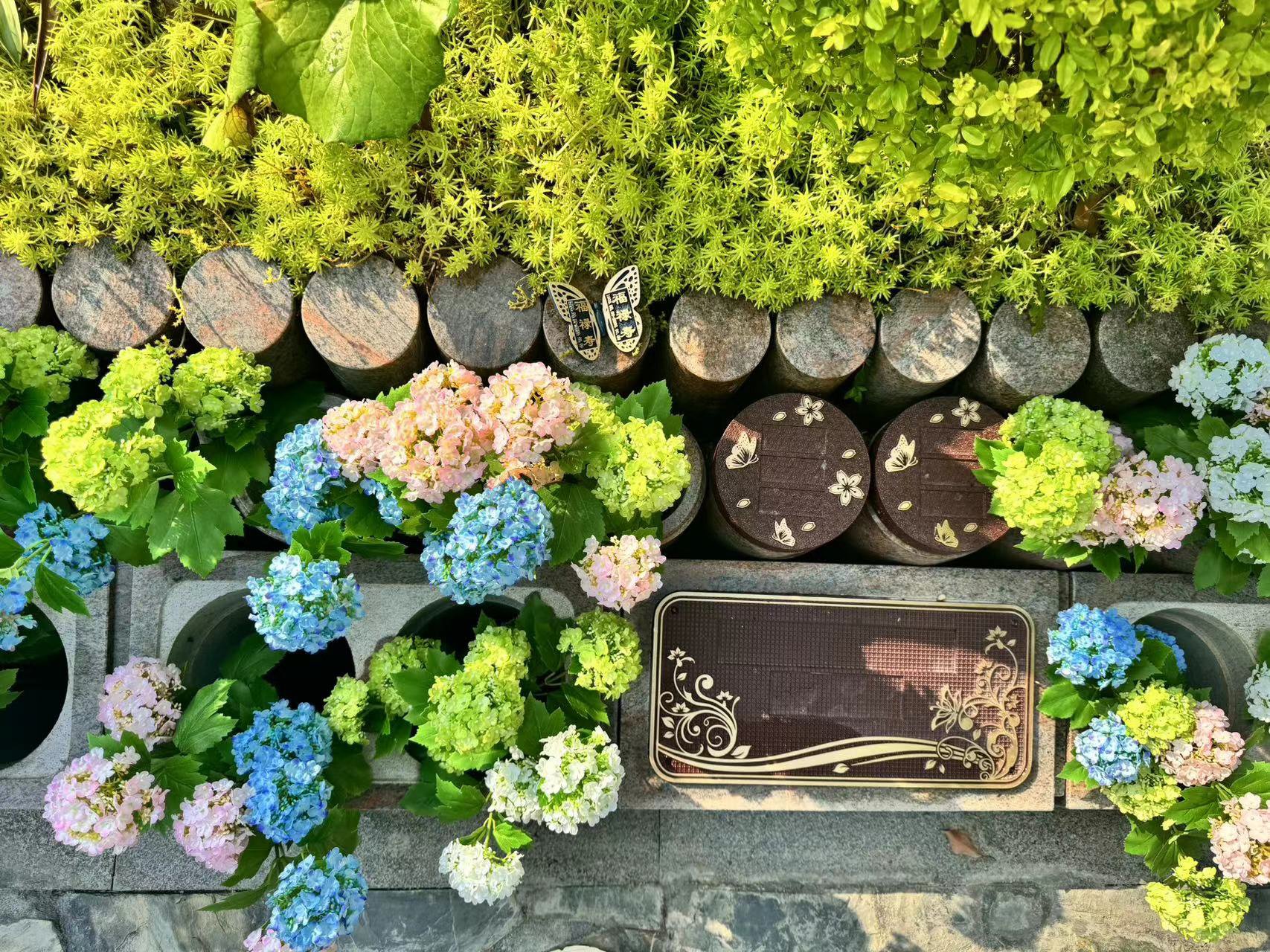 太阳城官网(中国)集团有限公司