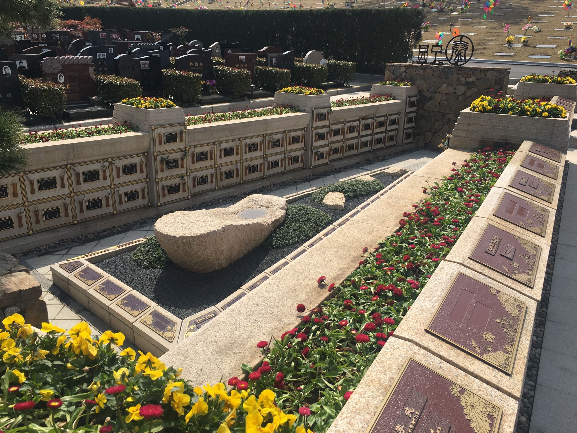 太阳城官网(中国)集团有限公司