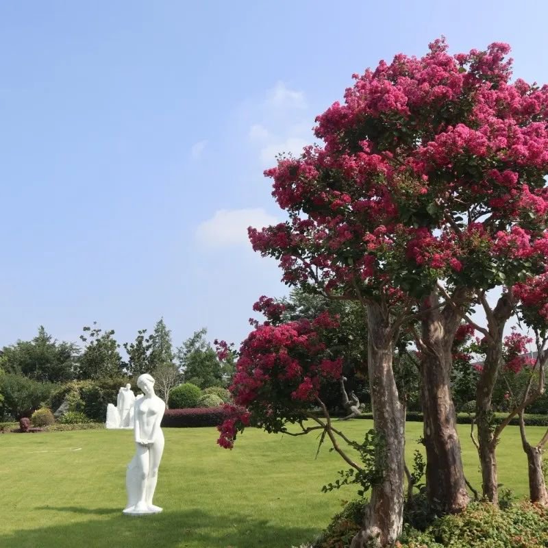 太阳城官网(中国)集团有限公司