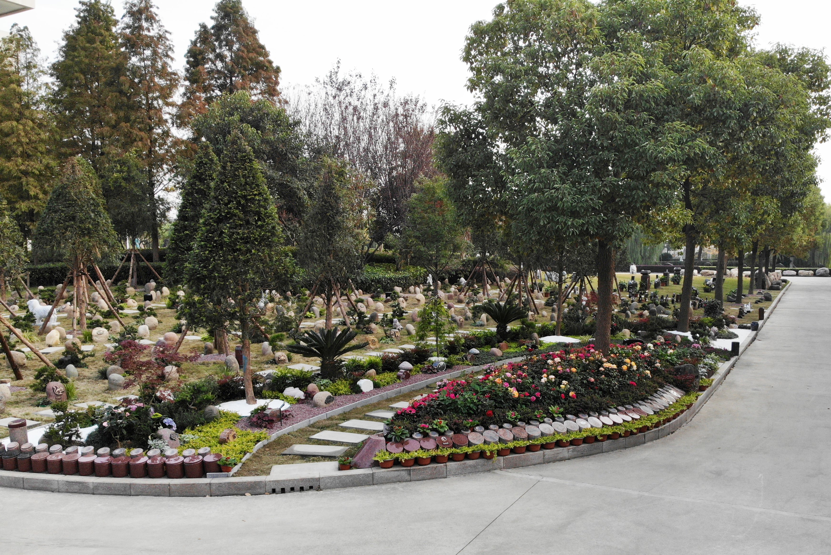 太阳城官网(中国)集团有限公司