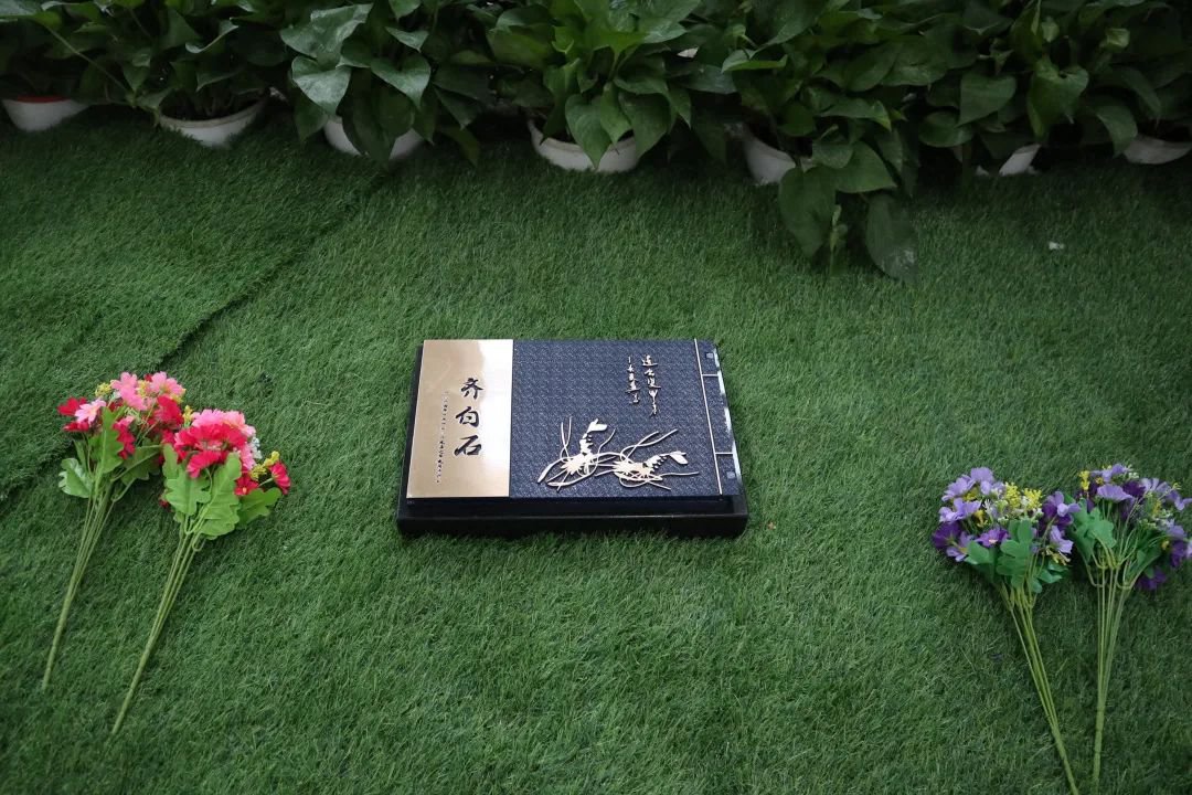 太阳城官网(中国)集团有限公司