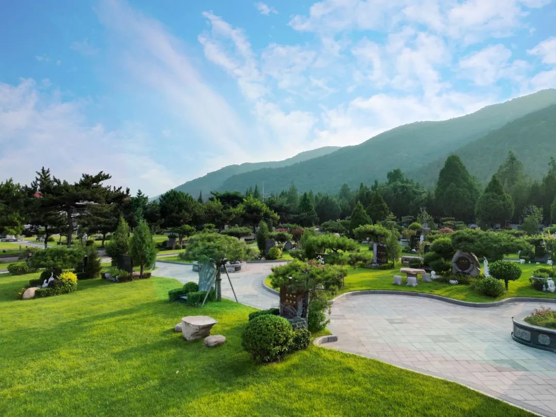 太阳城官网(中国)集团有限公司