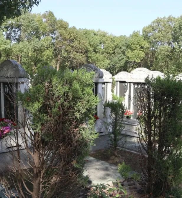 太阳城官网(中国)集团有限公司