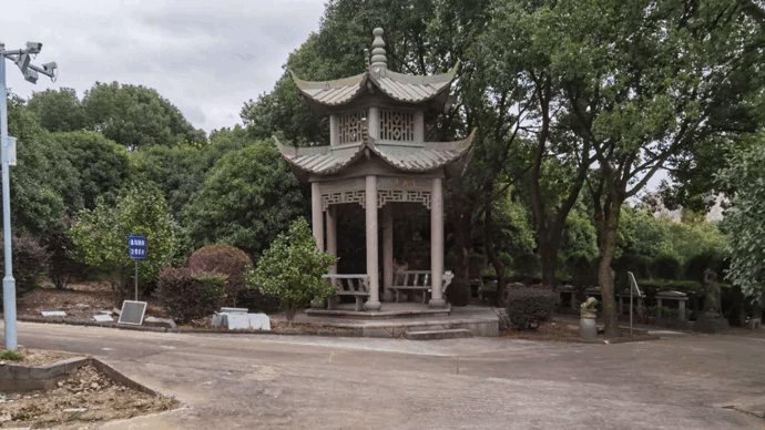 太阳城官网(中国)集团有限公司