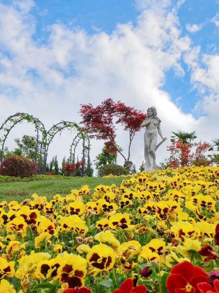 太阳城官网(中国)集团有限公司