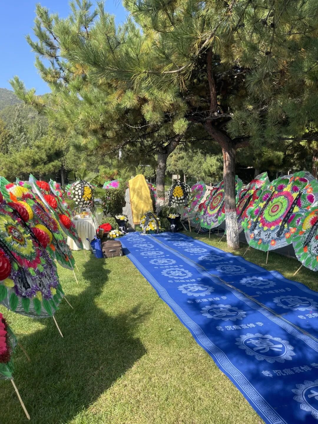 太阳城官网(中国)集团有限公司